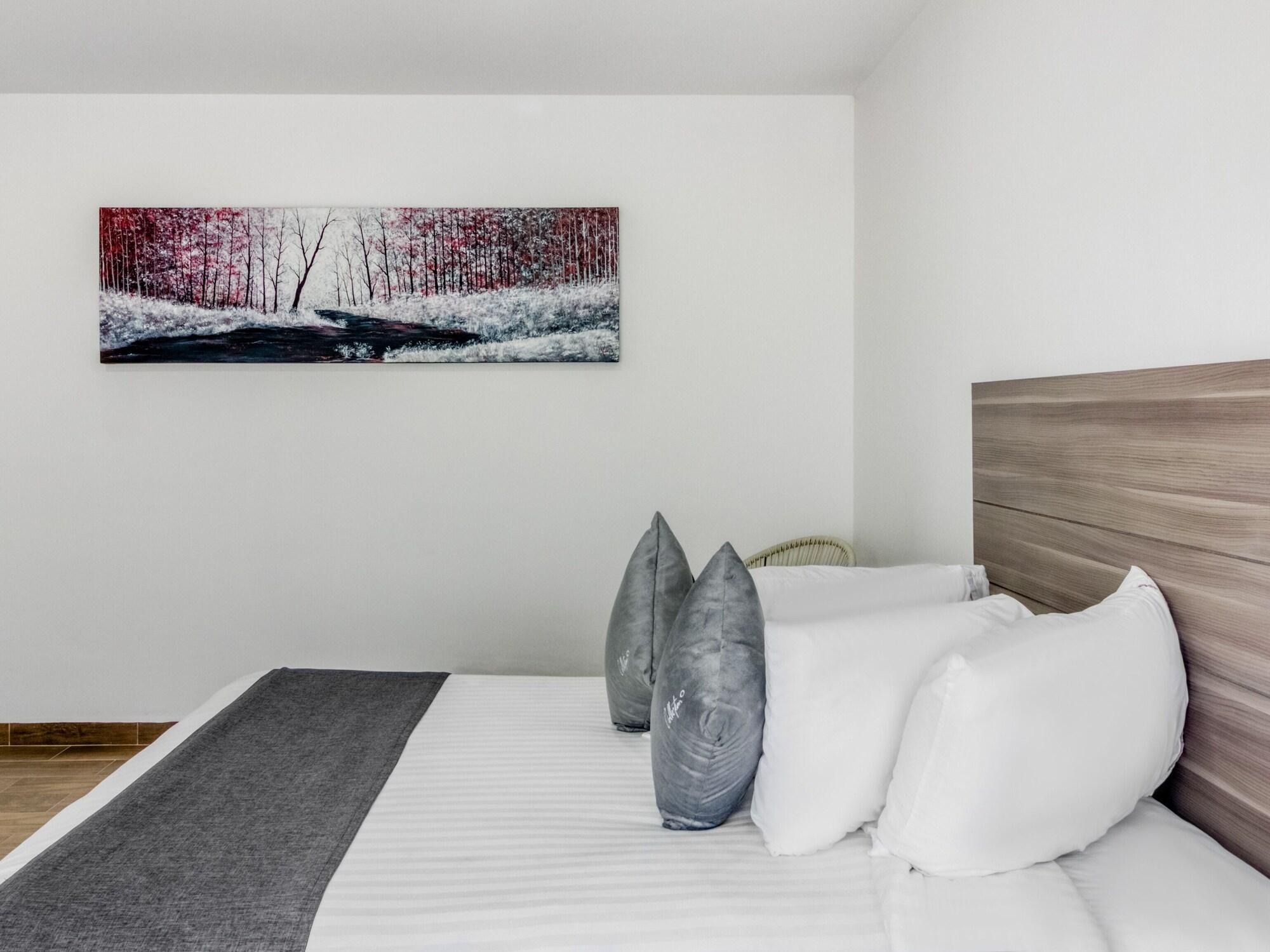 Vn Hotel Монтеррей Экстерьер фото
